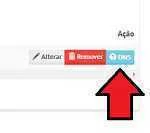 Clique no botão DNS