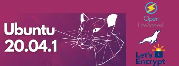 Ubuntu 20.04 com OpenLiteSpeed e MariaDB - HelpSysAdmin