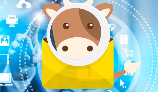 Mailcow Email Server Installation